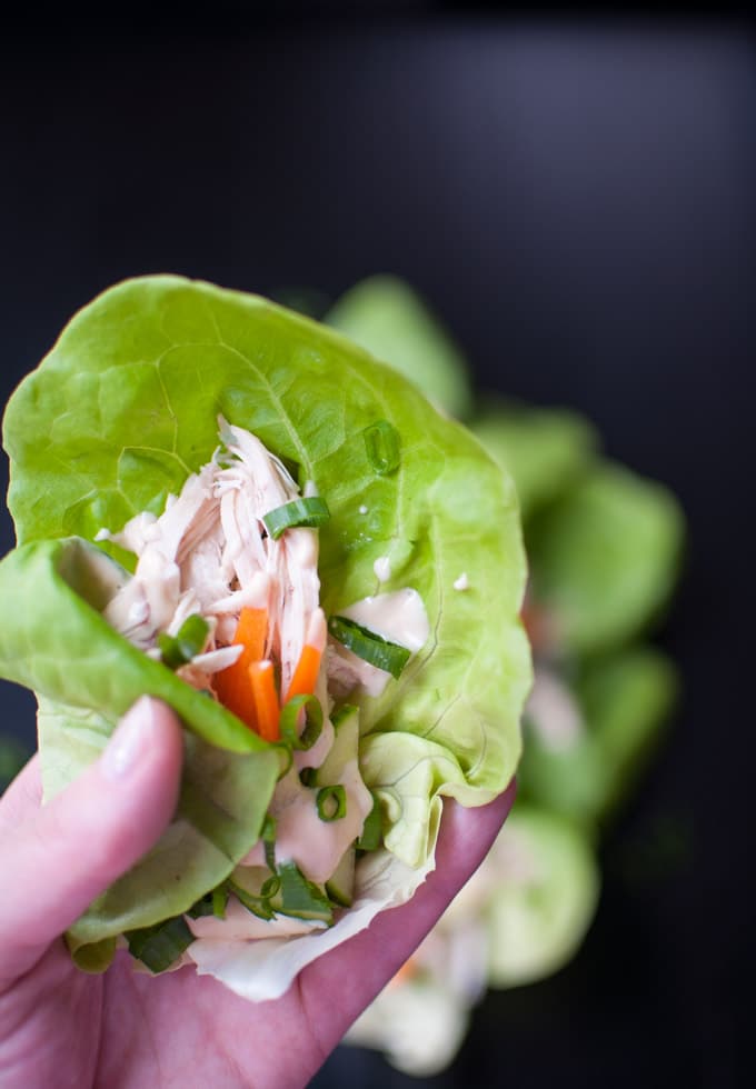 close-up of a hand holding an Asian chicken lettuce wrap