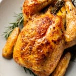 close-up of cooked crispy whole roast chicken in a shallow bowl surrounded by fresh rosemary