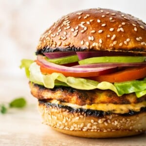 grilled ground chicken burger loaded with toppings