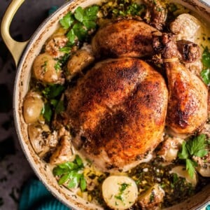 This creamy lemon and herb pot roasted whole chicken is simple to make, decadent, and bursting with fresh flavors. The addition of little potatoes makes it a fantastic one pot meal that makes great leftovers!