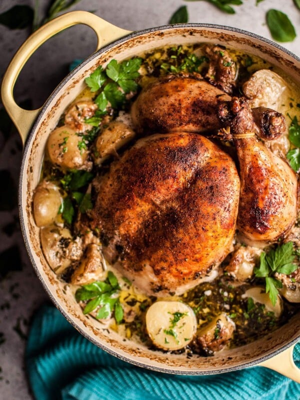 This creamy lemon and herb pot roasted whole chicken is simple to make, decadent, and bursting with fresh flavors. The addition of little potatoes makes it a fantastic one pot meal that makes great leftovers!