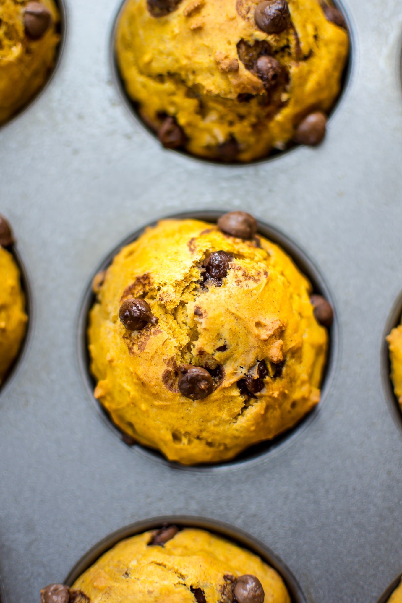 How Many Calories In A Pumpkin Chocolate Chip Muffin How Many Calories In A Pumpkin Chocolate Chip Muffin