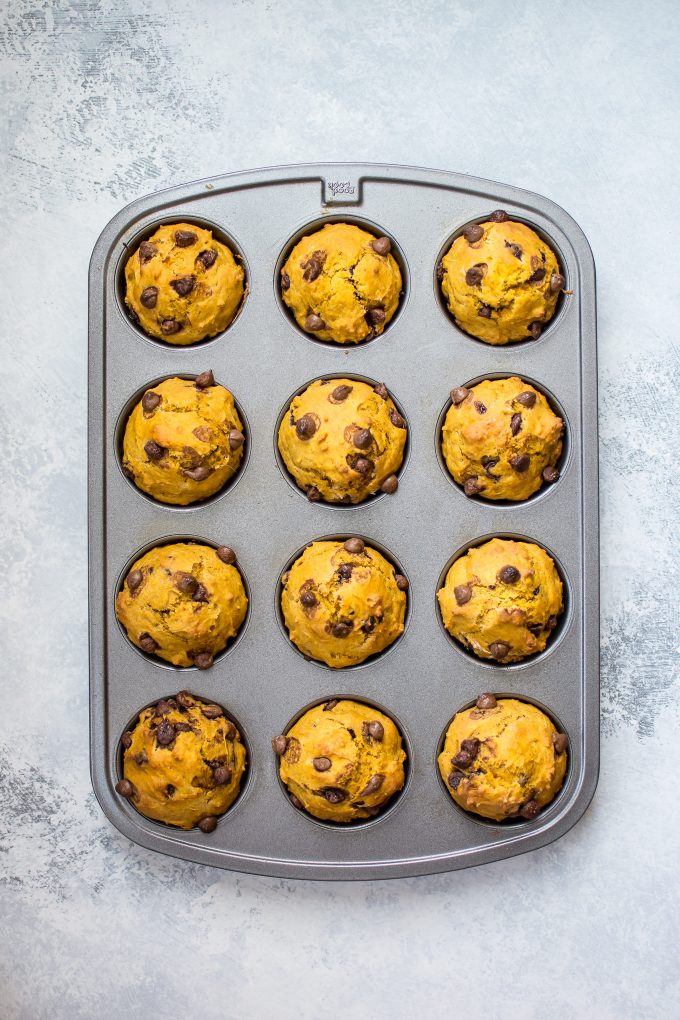 muffin baking sheet with batch of pumpkin chocolate chip muffins