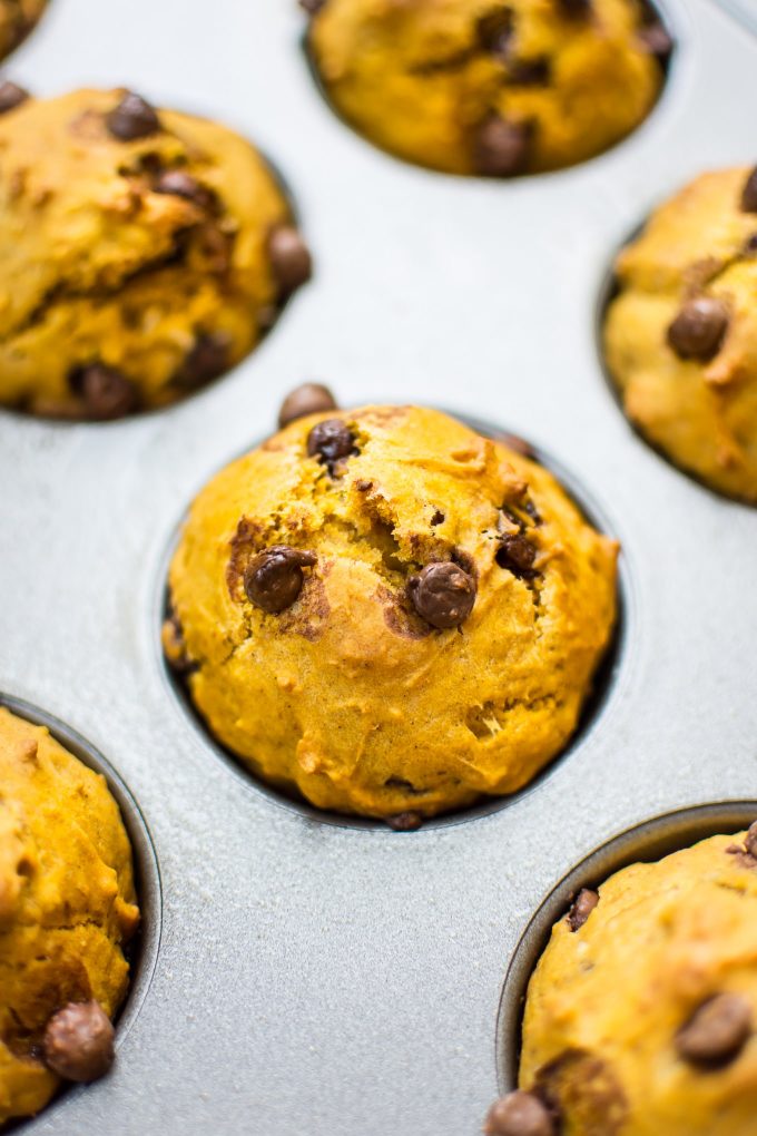 healthy pumpkin muffin in baking tray close-up