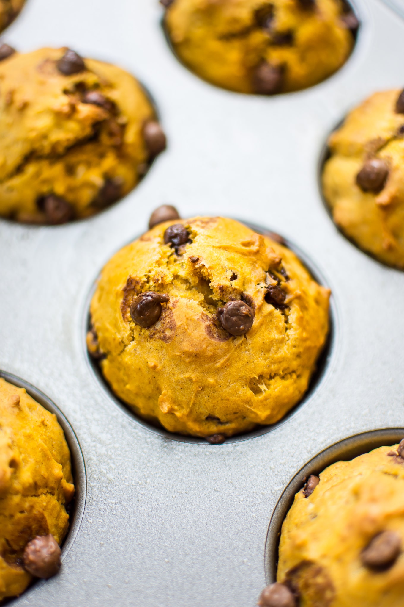 Pumpkin Chocolate Chip Muffins