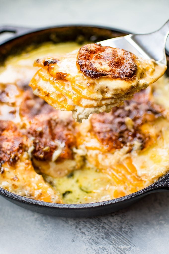 close-up of cheesy scalloped sweet potatoes with melted cheese