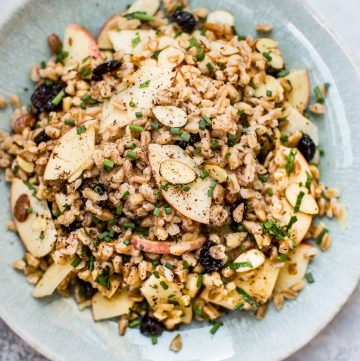 This healthy vegan farro salad is packed with dried cranberries, sliced almonds, honeycrisp apple slices, chives, and a lemon vinaigrette. It makes a wonderful light lunch or side dish.