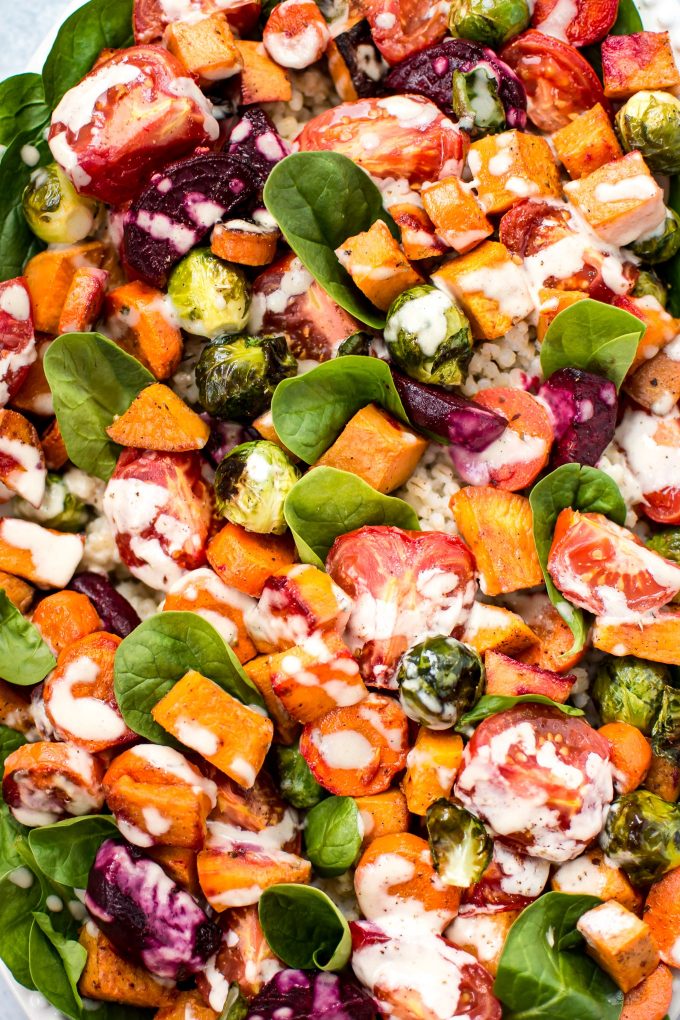 close-up of vegan roasted vegetable salad with maple tahini dressing