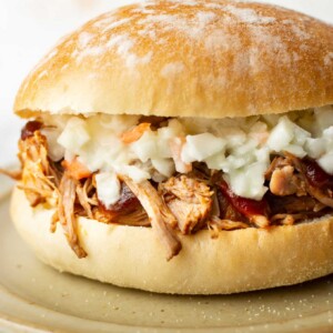 a pulled pork sandwich on a plate