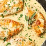 a skillet with chicken in a creamy herb sauce