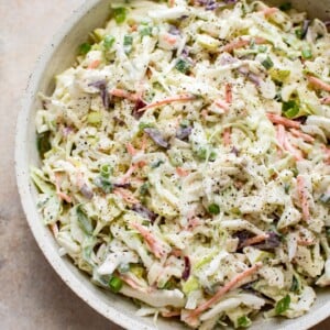 This simple apple slaw has cabbage, carrots, scallions, red and granny smith apples, and a tangy and sweet creamy dressing. This coleslaw recipe is great for pulled pork sandwiches!