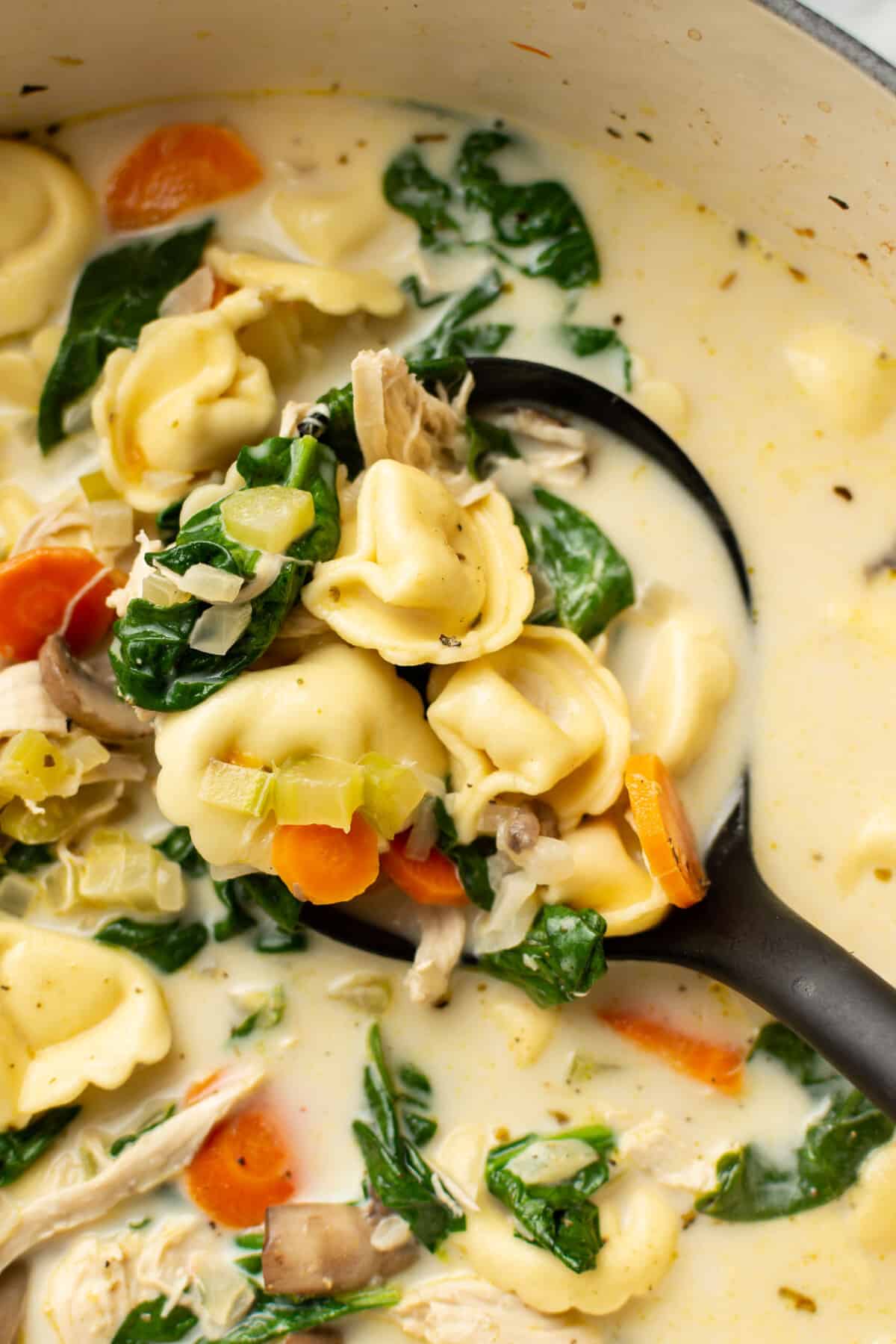 a ladle of creamy spinach tortellini soup with chicken