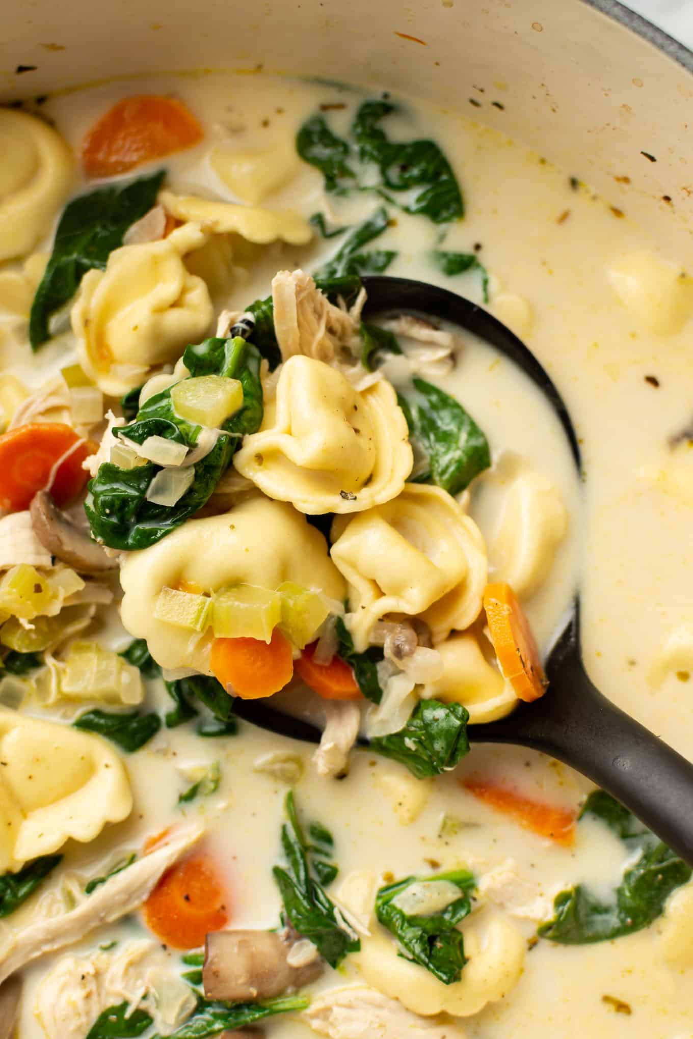 Creamy Spinach Tortellini Soup with Chicken • Salt & Lavender