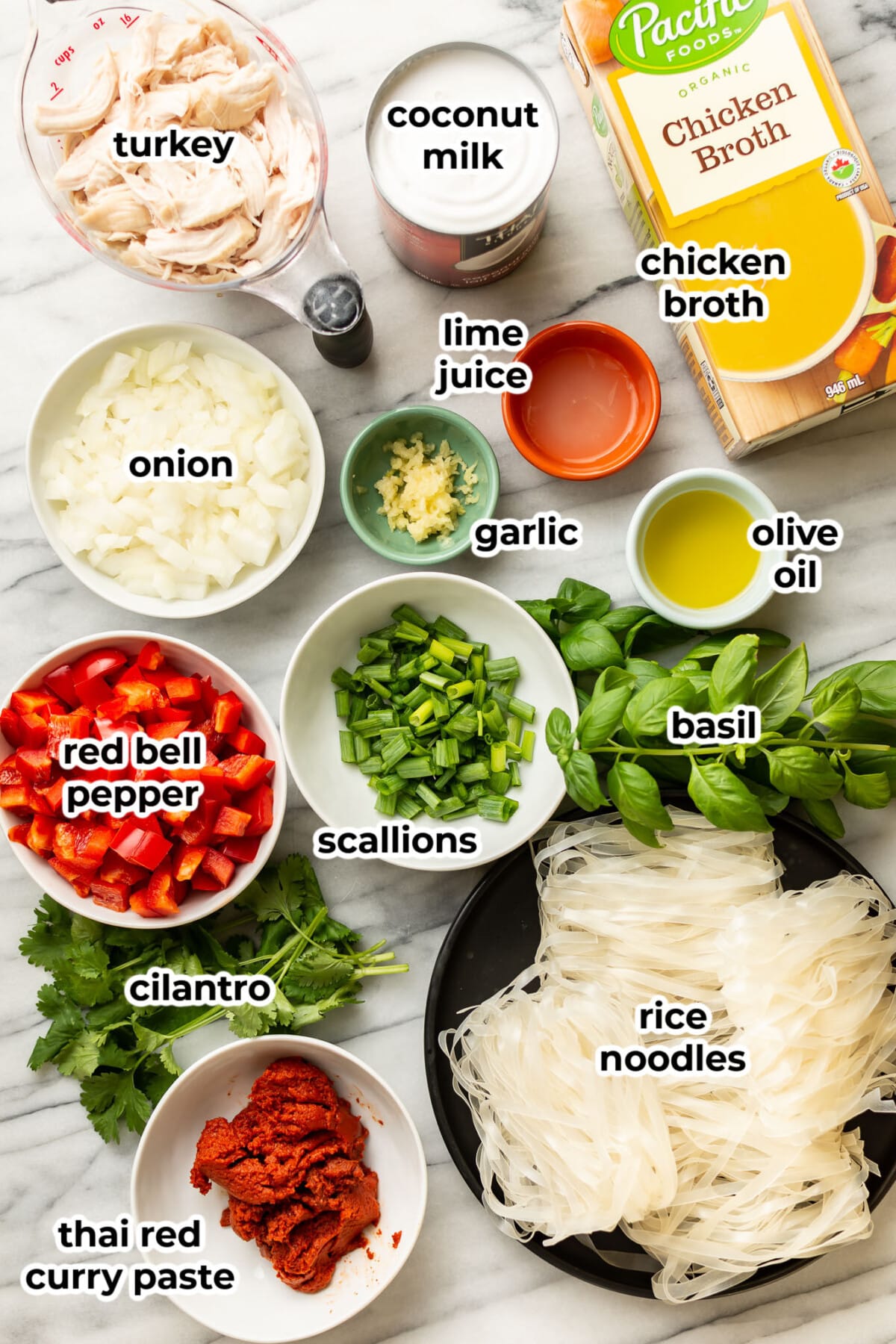 ingredients for thai leftover turkey soup