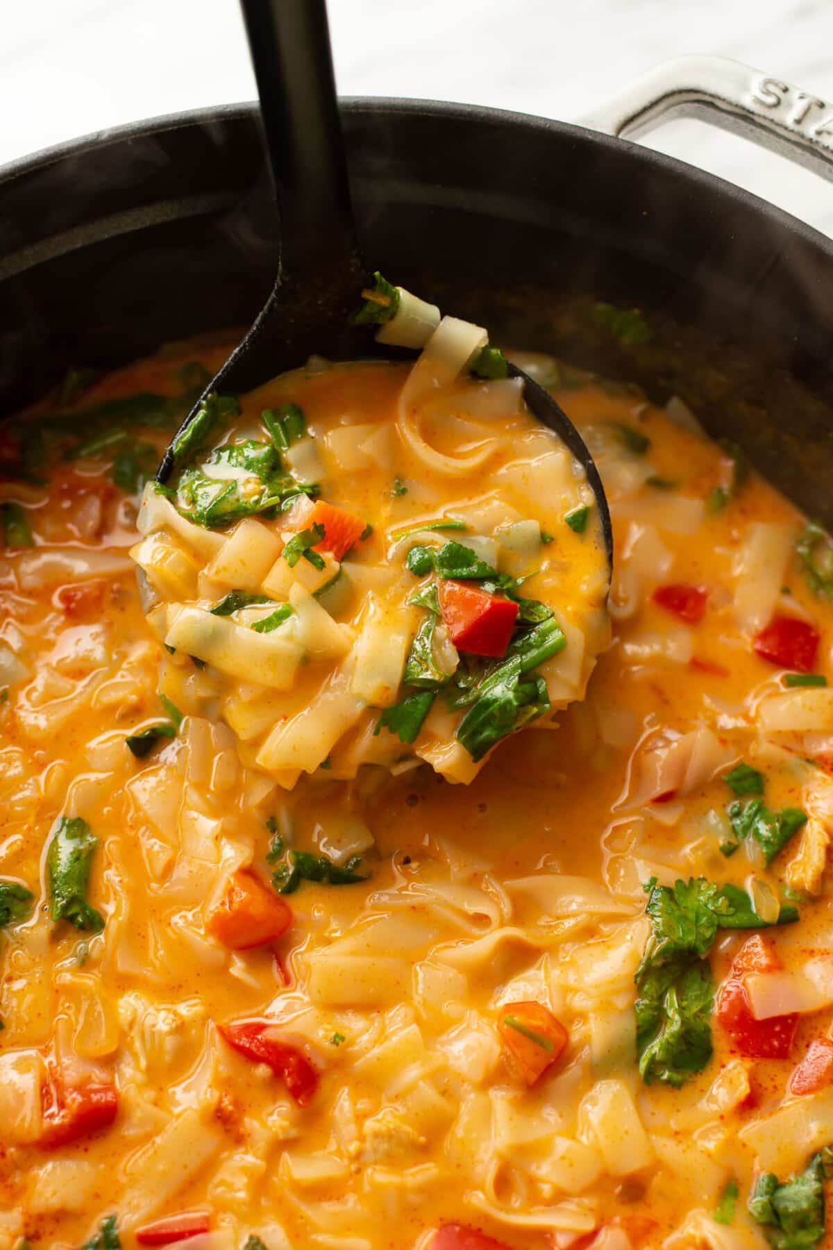 closeup of a ladle of thai turkey soup