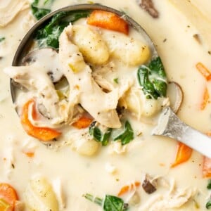 close-up of a ladle in a pot with chicken gnocchi soup