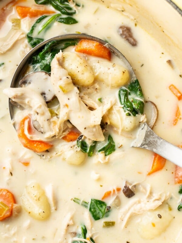 close-up of a ladle in a pot with chicken gnocchi soup