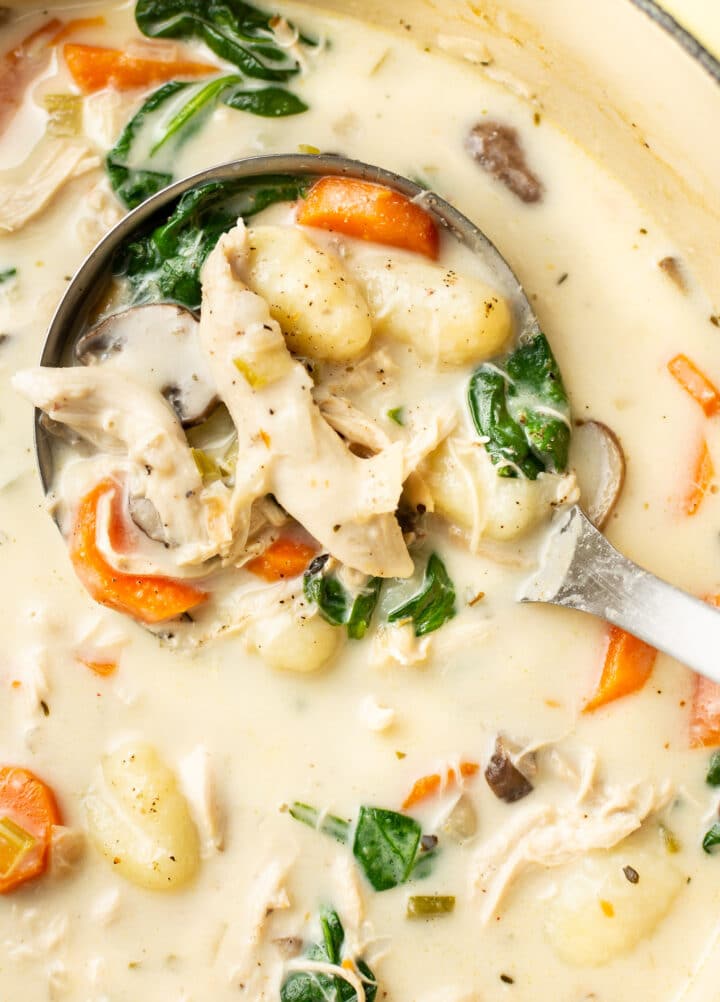 close-up of a ladle in a pot with chicken gnocchi soup