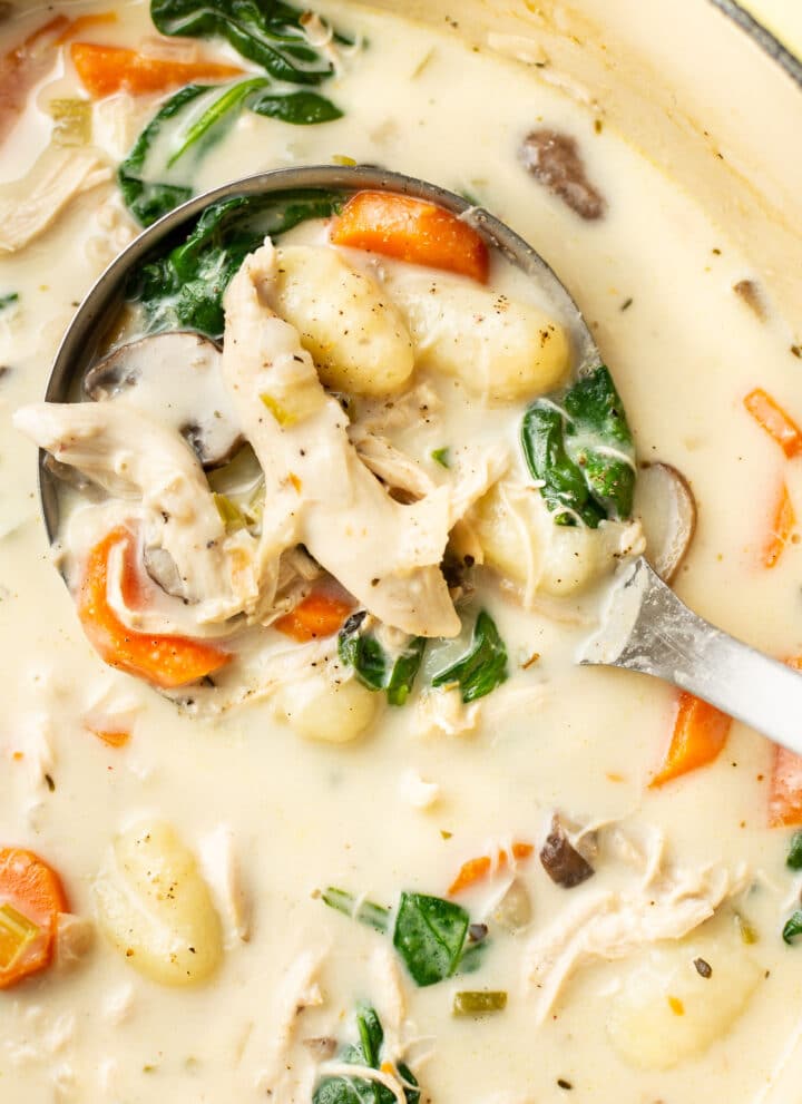 close-up of a ladle in a pot with chicken gnocchi soup