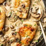 closeup of creamy mushroom chicken with a spoon