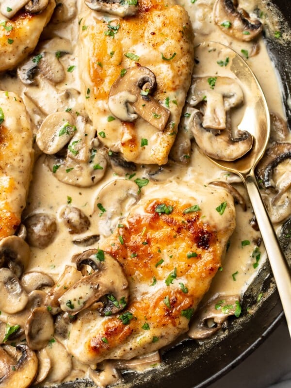 closeup of creamy mushroom chicken with a spoon