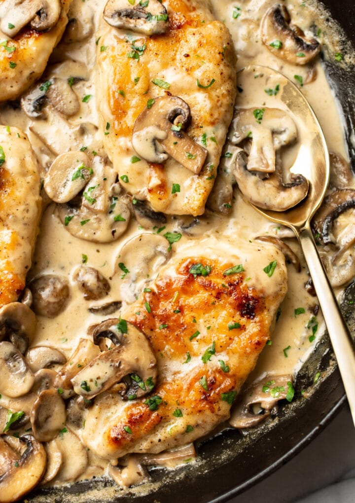 closeup of creamy mushroom chicken with a spoon