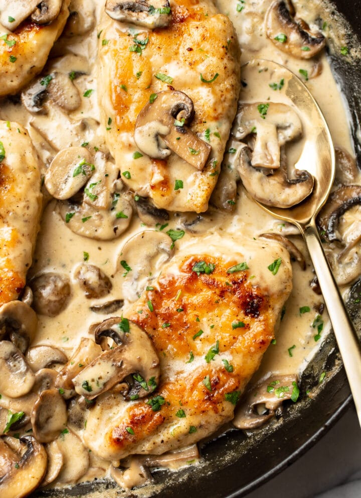 closeup of creamy mushroom chicken with a spoon