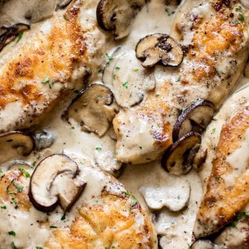 This one skillet chicken in a creamy garlic mushroom sauce is perfect for an easy weeknight dinner but tasty enough for company!