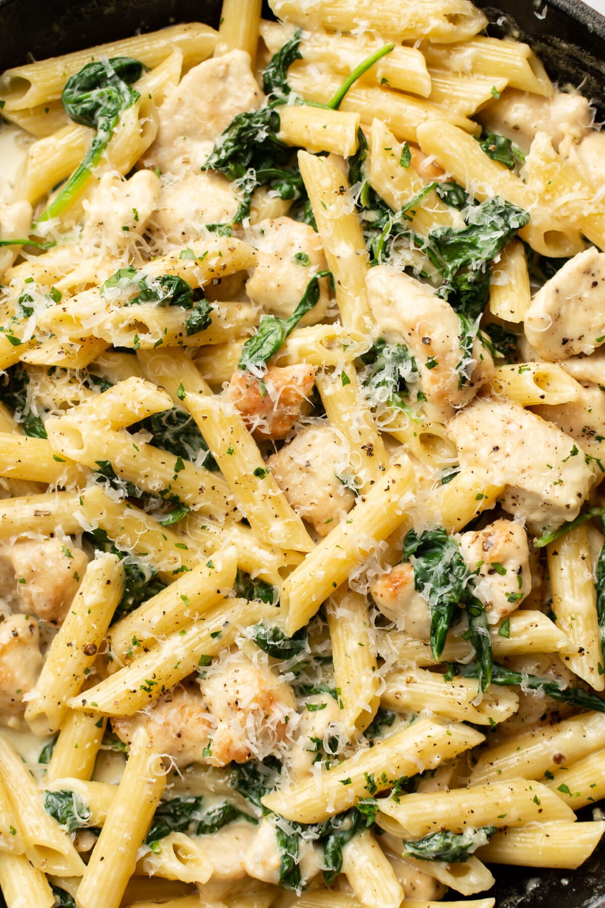 closeup of a skillet with creamy chicken spinach pasta