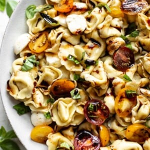 Caprese tortellini salad close-up