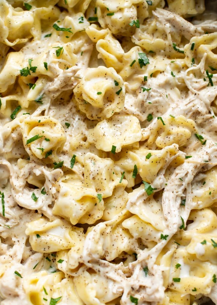closeup of garlic tortellini Alfredo with chicken