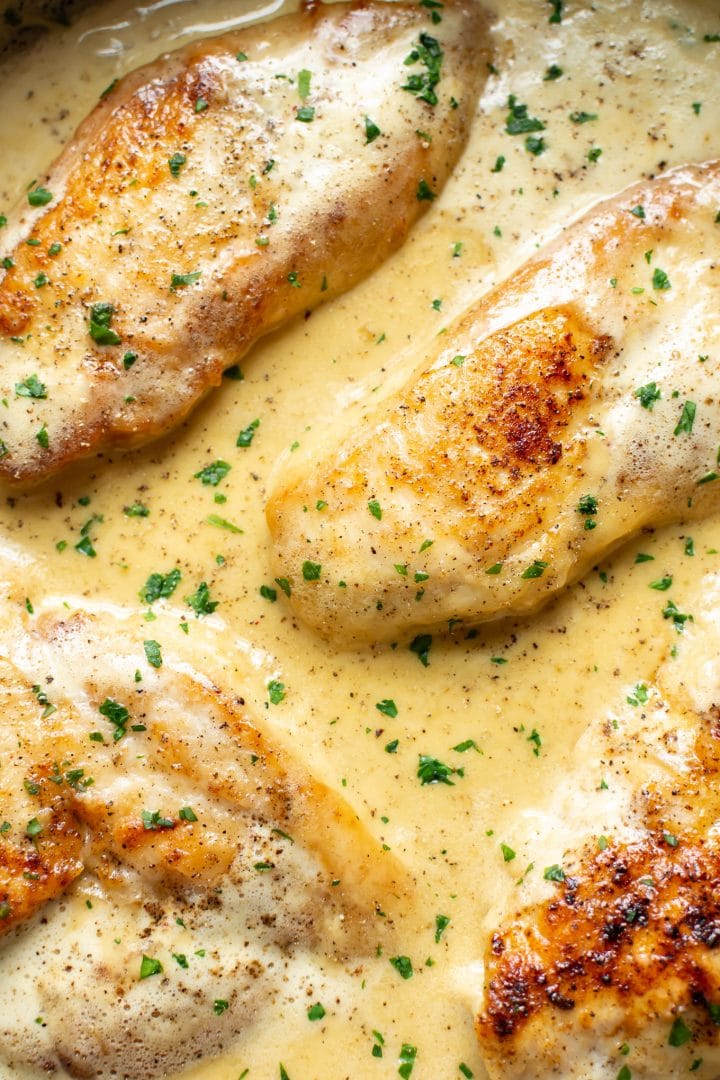 creamy honey mustard chicken close-up