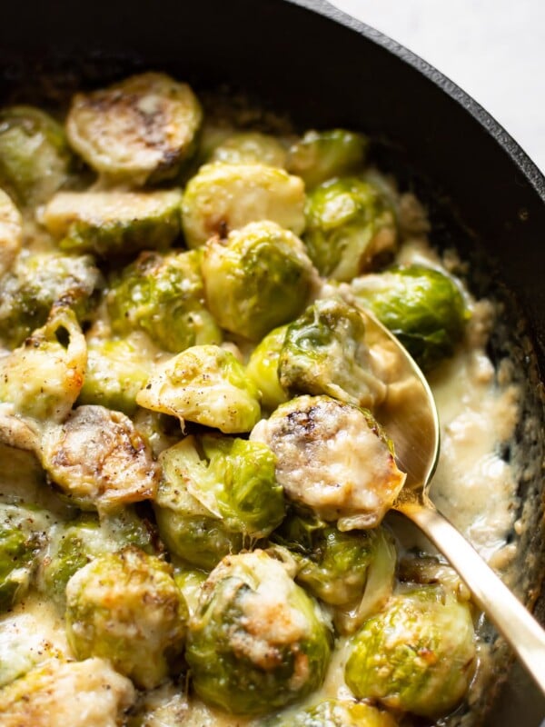 close-up spoonful of brussels sprouts au gratin