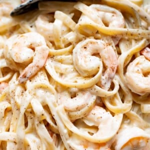 Close-up of the best shrimp alfredo recipe!