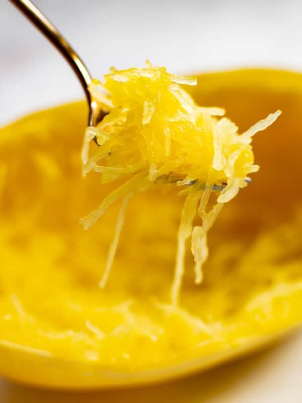 close-up of a fork with spaghetti squash