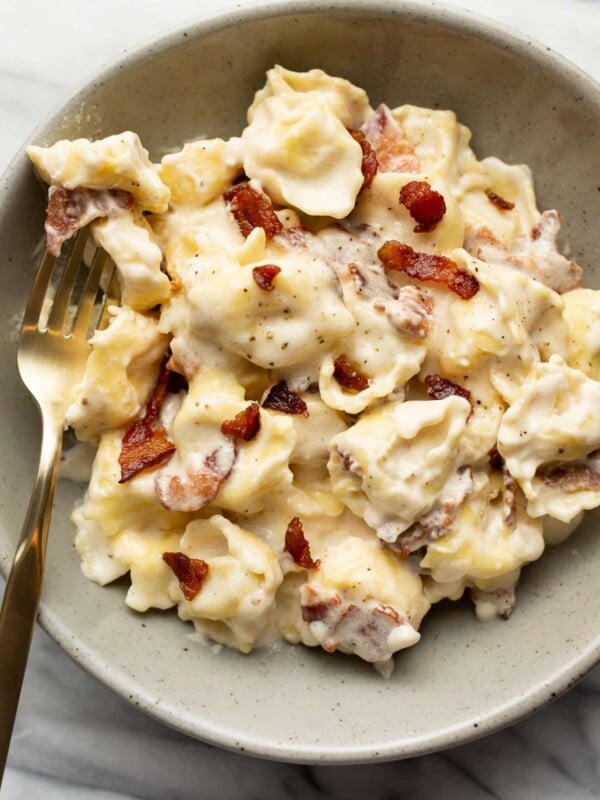 a bowl of cream cheese tortellini alfredo with a fork