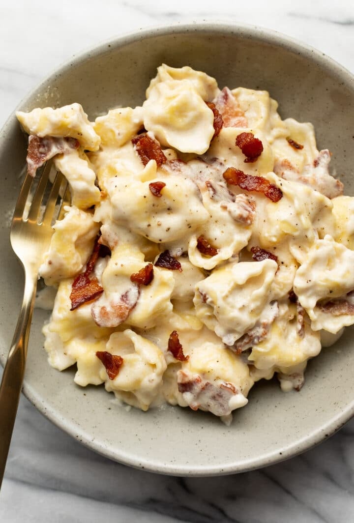 a bowl of cream cheese tortellini alfredo with a fork