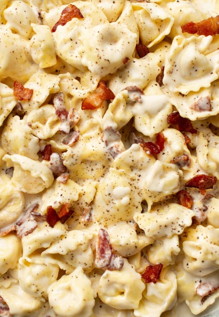 closeup of tortellini in creamy sauce with bacon