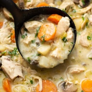 closeup of a pot of chicken stew with a ladle