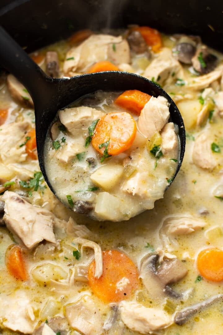 closeup of a pot of chicken stew with a ladle