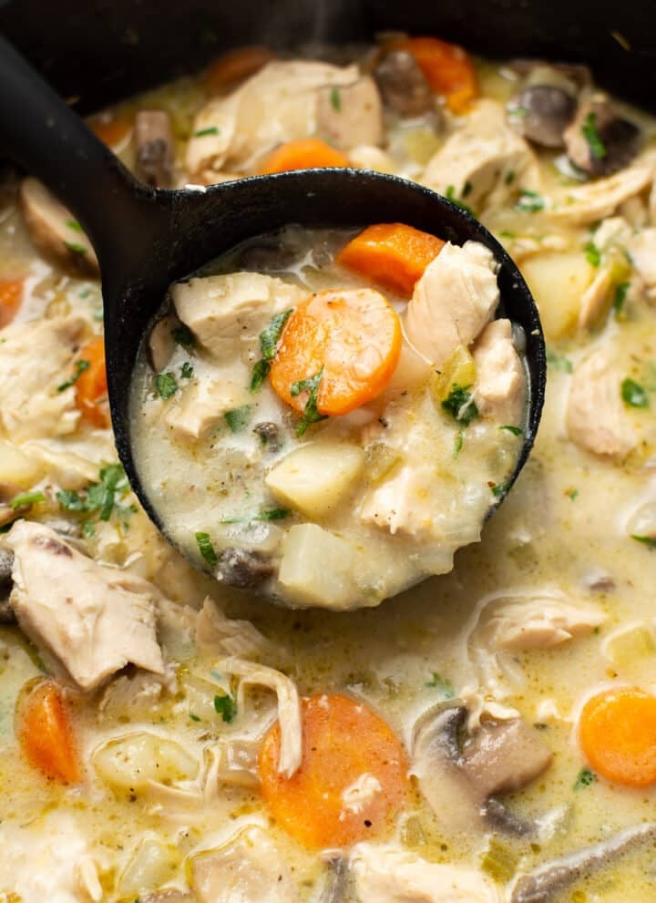 closeup of a pot of chicken stew with a ladle