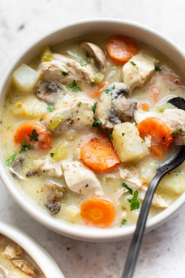 the BEST chicken stew in a bowl with a spoon