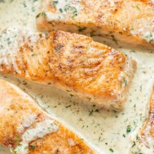 extreme close-up of creamy dill salmon