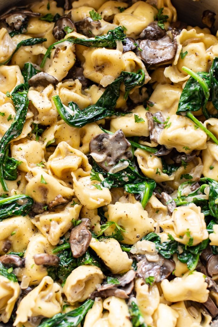 close-up of creamy tortellini with mushrooms and spinach