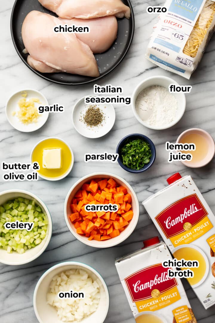 ingredients for lemon chicken orzo soup on a counter