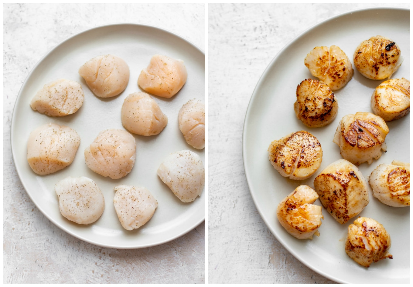 Creamy Lemon Garlic Pan Seared Scallops • Salt & Lavender