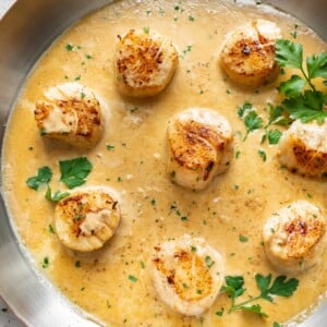 pan-seared scallops with creamy lemon garlic butter sauce in a skillet