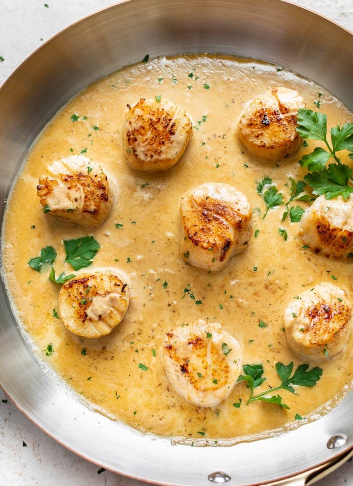 pan-seared scallops with creamy lemon garlic butter sauce in a skillet