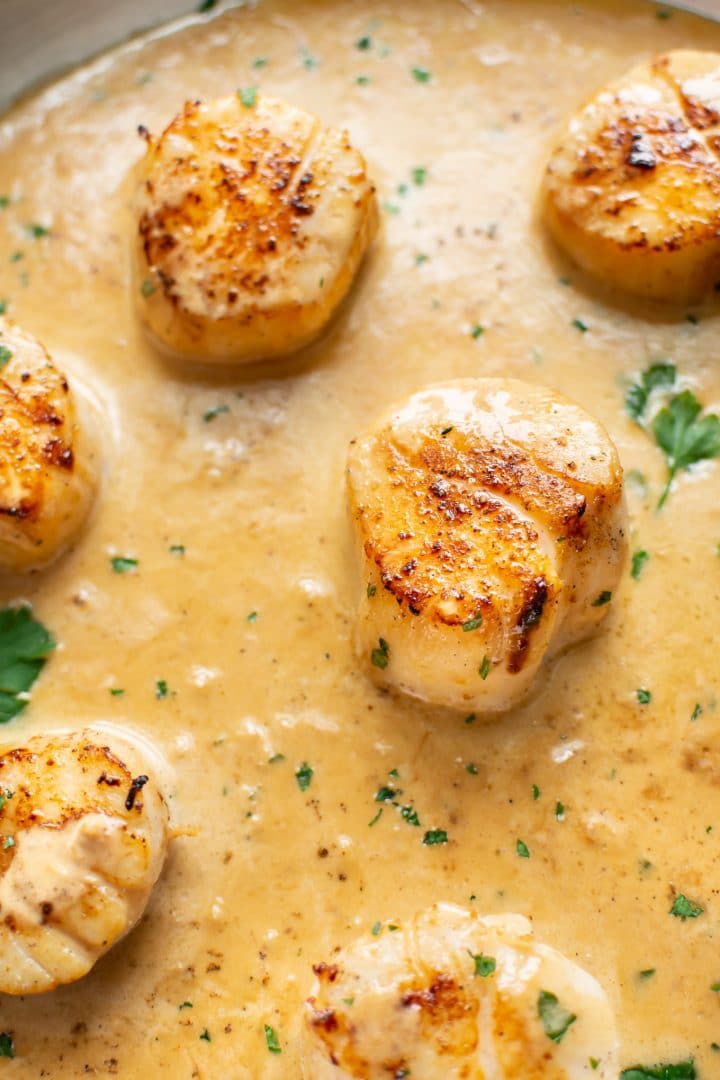 close-up of creamy garlic scallops