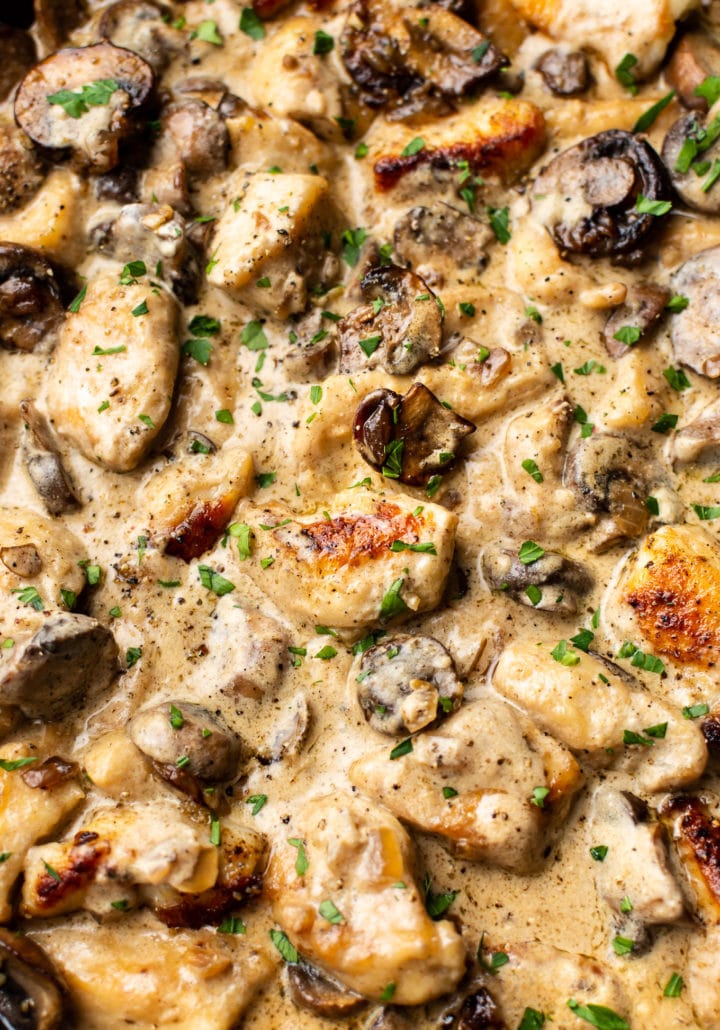 close-up of the BEST chicken stroganoff